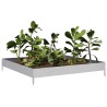 Lit surélevé de jardin 100x100x18,5 cm acier inoxydable 536114536114