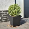 Jardinière noir 30x30x30 cm acier 536129536129
