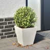 Jardinière blanc 30x30x30 cm acier 536142536142