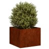 Jardinière rouillé 40x40x30 cm acier inoxydable 536232536232