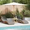Transat avec coussin 2 pcs Gris Bois d'Acacia Massif 536255536255