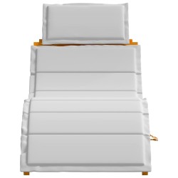 Transat avec coussin 2 pcs Gris clair Bois d'Acacia Massif 536264536264