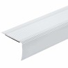 Nez de marche 10 pcs Argenté 67 x 3.5 x 3 cm Aluminium 536330536330