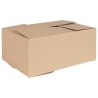 Boîte Pliable 50 pcs Naturel 35 x 24 x 15 cm Carton 536391536391