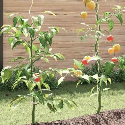 Soutien de plante 5 pcs Argenté 150 x 0,6 x 0,6 cm Acier 536402536402
