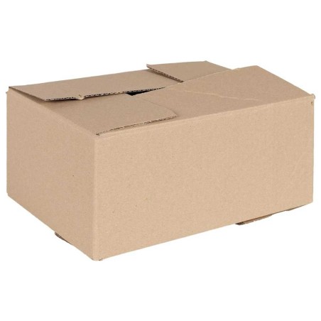 Boîte Pliable 50 pcs Naturel 30 x 21,5 x 14 cm Carton 536417536417