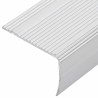Nez de marche 10 pcs Argenté 67 x 3.5 x 3 cm Aluminium 536425536425