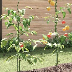 Soutien de plante 5 pcs Vert 170 x 0,6 x 0,6 cm Acier 536463536463