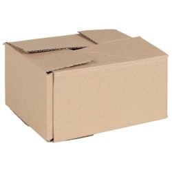 Boîte Pliable 50 pcs Naturel 20 x 15 x 10 cm Carton 536535536535
