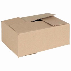 Boîte Pliable 50 pcs Naturel 25 x 17,5 x 10 cm Carton 536542536542