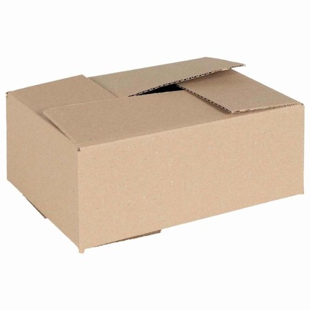 Boîte Pliable 50 pcs Naturel 25 x 17,5 x 10 cm Carton 536542536542