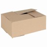 Boîte Pliable 50 pcs Naturel 25 x 17,5 x 10 cm Carton 536542536542