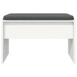 Banc d'entrée avec coussin Blanc 63 x 38 x 40 cm 536608536608