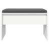 Banc d'entrée avec coussin Blanc 63 x 38 x 40 cm 536608536608