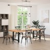 Pieds de table à manger Noir 2 pièces 70 x (72-73) cm Acier 536855536855