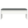 Banc d'entrée avec coussin Blanc 103 x 38 x 40 cm 536917536917