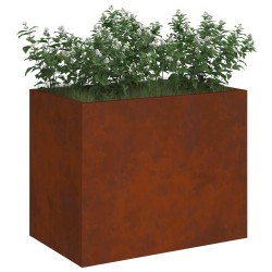 Cache-pot de jardin Acier patiné 50 x 32 x 40 cm Acier patiné 536967536967