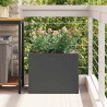 Cache-pot de jardin Noir 50 x 32 x 40 cm Acier laminé à froid 537002537002