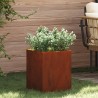 Cache-pot de jardin Acier patiné 32 x 32 x 40 cm Acier patiné 537016537016