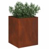 Cache-pot de jardin Acier patiné 32 x 32 x 40 cm Acier patiné 537016537016