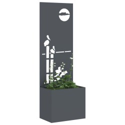 Écran de confidentialité de jardin Anthracite 50 x 150 cm 537082537082