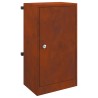 boîte aux lettres Rouillé 30 x 20 x 55 cm Acier patiné 537172537172