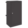 boîte aux lettres avec stockage Noir 30 x 20 x 55 cm Acier 537205537205