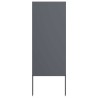 Écran de confidentialité de jardin Anthracite 50 x 140 cm 537251537251