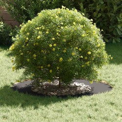 adapté pour anneau d'arbre plat Noir Ø40 / 70 cm Acier 537439537439