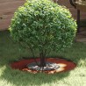 adapté pour anneau d'arbre plat Marron Ø30 / 60 cm Acier patiné 537441537441