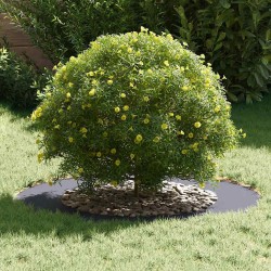 adapté pour anneau d'arbre plat Anthracite Ø50 / 80 cm Acier 537447537447