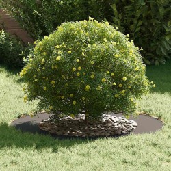 adapté pour anneaux d'arbre plats 5 pcs Noir Ø50 / 80 cm Acier 537449537449