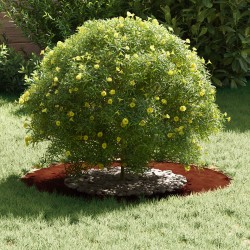 adapté pour anneau d'arbre plat Marron Ø40 / 70 cm Acier patiné 537452537452