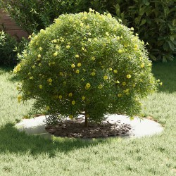 adapté pour anneaux d'arbre plats 5 pcs Argent Ø40 / 70 cm 537453537453
