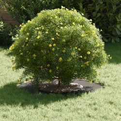adapté pour anneau d'arbre plat Noir Ø30 / 60 cm Acier 537462537462