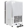 Fabricant de cubes de glace avec porte Argenté 43 x 40 x 71 cm 537474537474