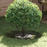 adapté pour anneau d'arbre plat Vert olive Ø30 / 60 cm Acier 537496537496
