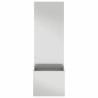 Écran de confidentialité de jardin Argenté 50 x 32 x 150 cm 537510537510