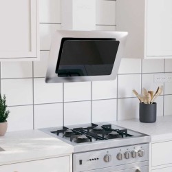 Hotte murale 60 cm Acier inoxydable et verre trempé Argenté 537636537636