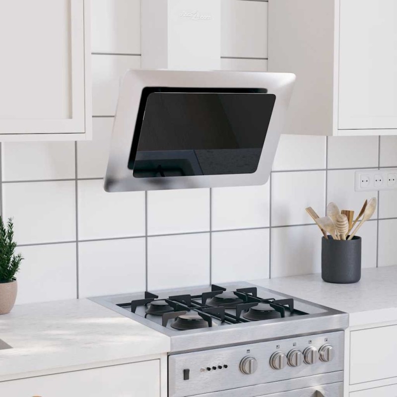 Hotte murale 60 cm Acier inoxydable et verre trempé Argenté 537636537636
