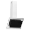 Hotte murale 60 cm Acier inoxydable et verre trempé Argenté 537636537636