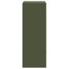 Boîte de dépôt de colis Vert olive 41 x 38 x 103 cm Acier 537642537642