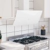 Hotte murale 90 cm Acier et verre trempé Blanc 537646537646