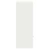 Boîte de dépôt de colis avec porte Blanc 41 x 38 x 103 cm Acier 537684537684