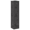 Lumière de chemin LED solaire 2 pcs Noir Acier laminé à froid 537785537785