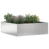 Bordure de Pelouse Argent 40 x 40 x 13 cm Acier inoxydable 537833537833