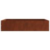 Bordure de Pelouse Rouillé 60 x 60 x 13 cm 537851537851