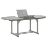 Table de jardin Gris 200x100x75 cm Bois d'acacia massif 537857537857
