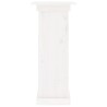 Support à fleurs Blanc 40x40x90 cm Bois de pin solide 537869537869
