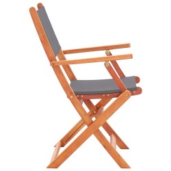 Chaises pliables de jardin lot de 2 Gris Eucalyptus textilène 537916537916